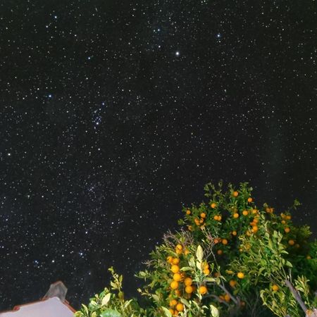 "Villa Servanda " - Relax, Nature, Wide Views Of The Sea And A Starry Sky Puntagorda Eksteriør billede