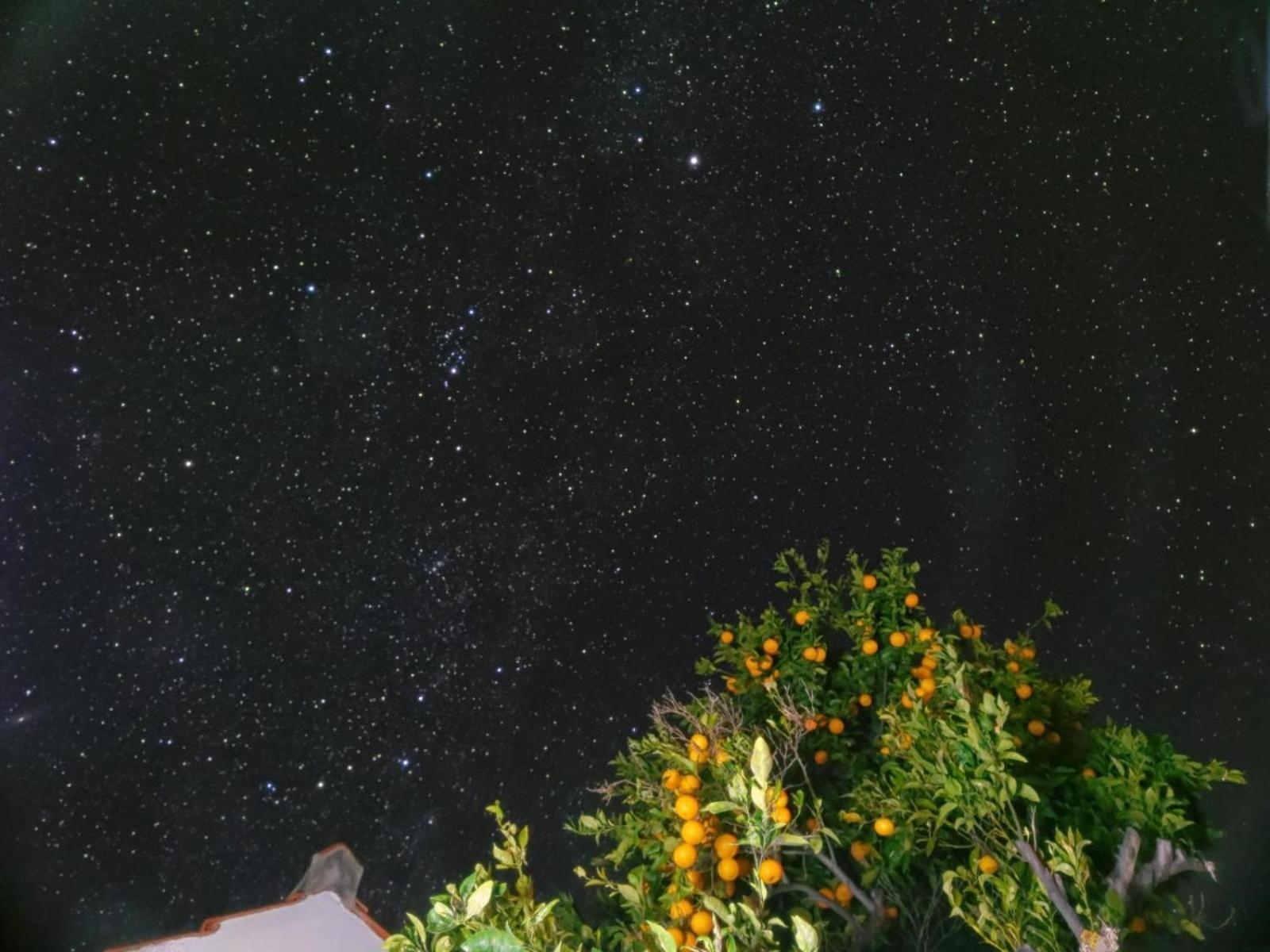 "Villa Servanda " - Relax, Nature, Wide Views Of The Sea And A Starry Sky Puntagorda Eksteriør billede